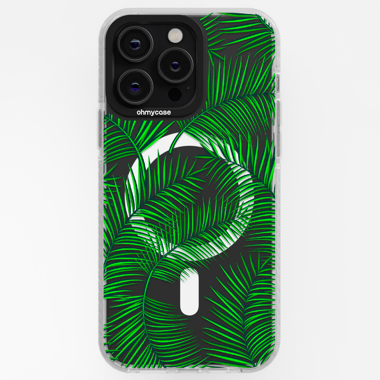 Coque - Palmiers