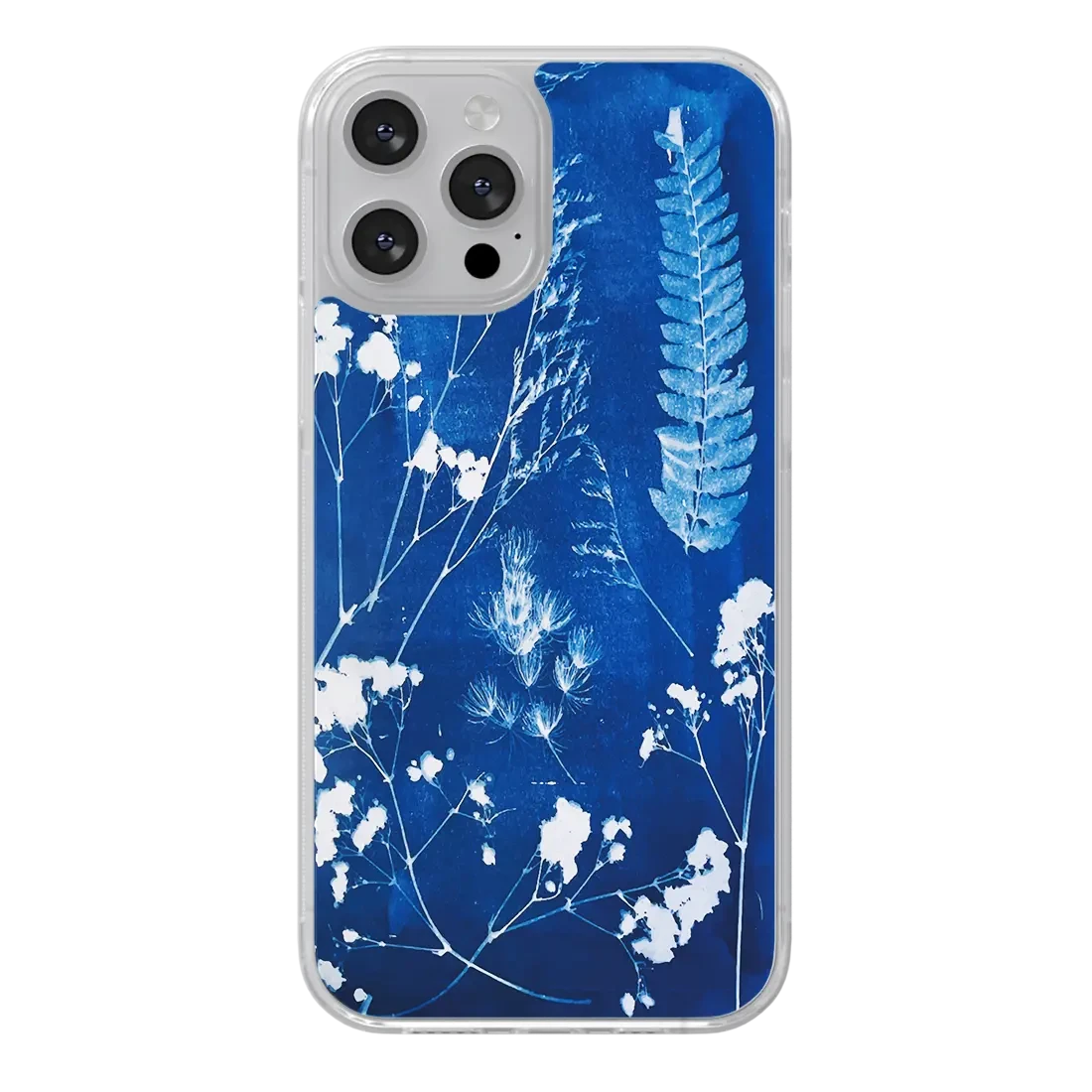 Cyanotype - Studio Cfy