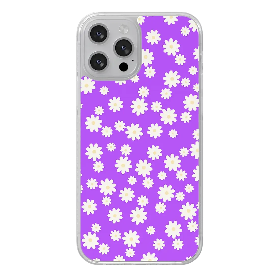 Explosion De Marguerites - Locatoya