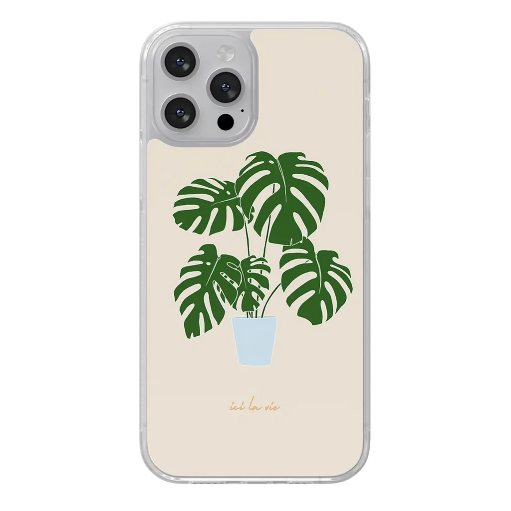 Monstera - ici la vie