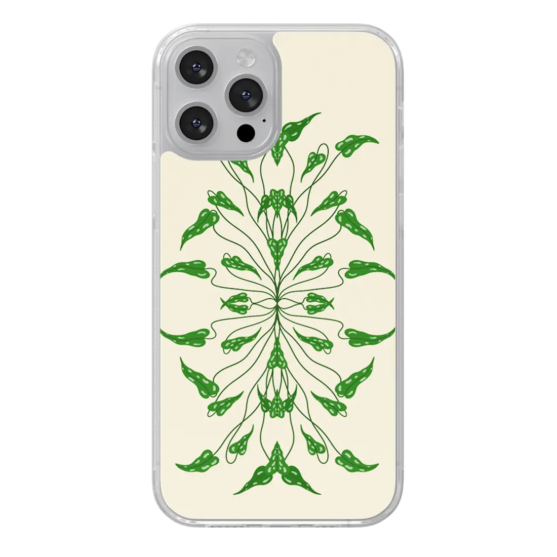 Plantes - Studio Imana